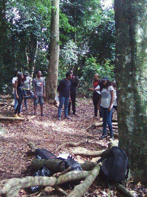 Abuba Forest